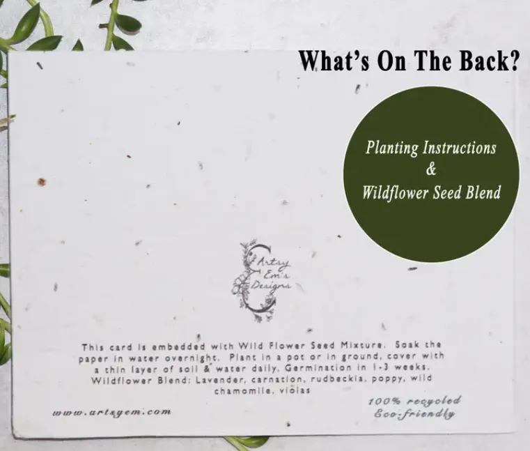 "Sending You a Big Hug" Raccoon - Plantable Greeting Card