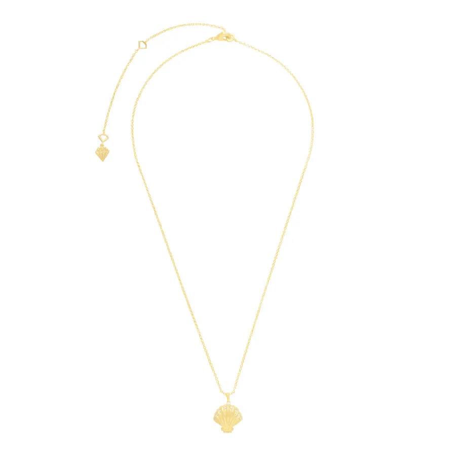 Sundaze Shell Locket Gold Necklace